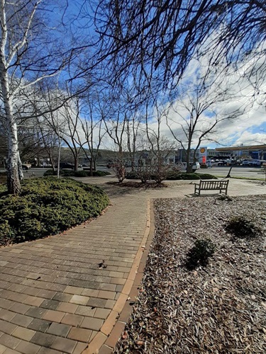 Path, garden bed with trees and park bench for seating