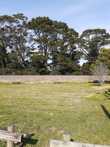 Grass area with trees and railway line in the background