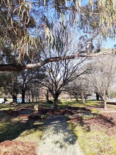 Walking path, surrounded by trees and grass area