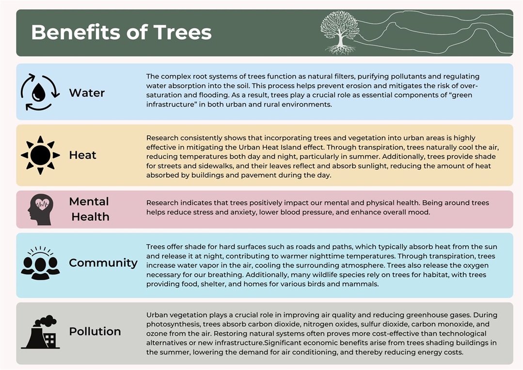 BENEFITS OF TREES.jpg