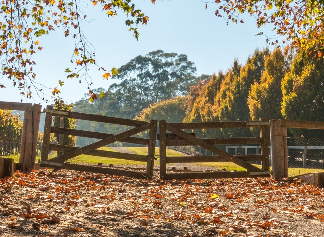 Image of gates at Centennial Vineyard in Bowral