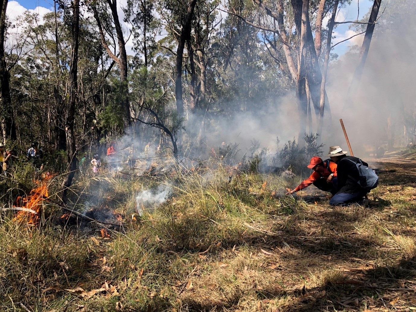 Two people involved in a cultural burn in the Wingecarribee Shire