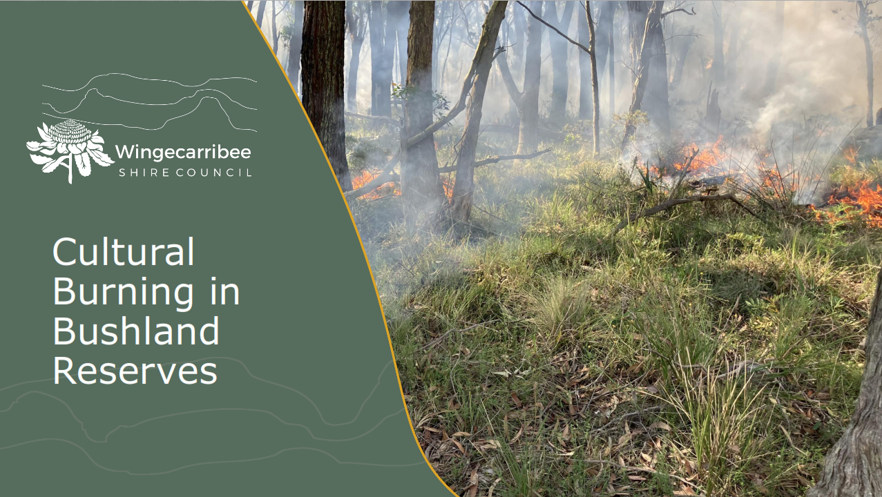 Cover page for Cultural Burning in Bushland Reserves Workshop