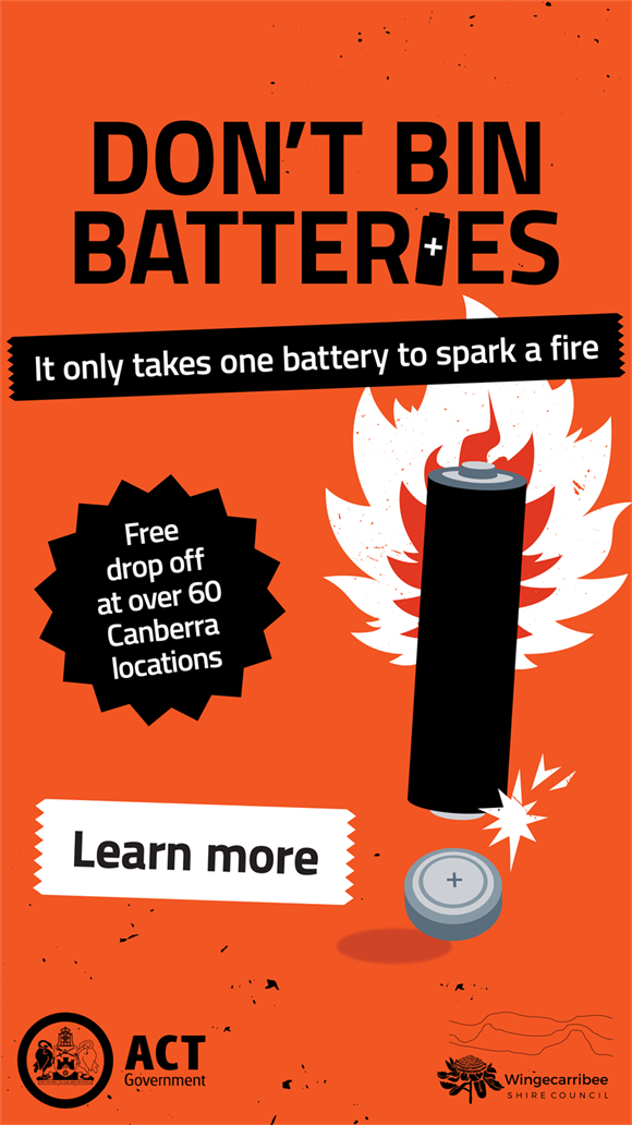 WSC-Logo-Battery-Campaign.png