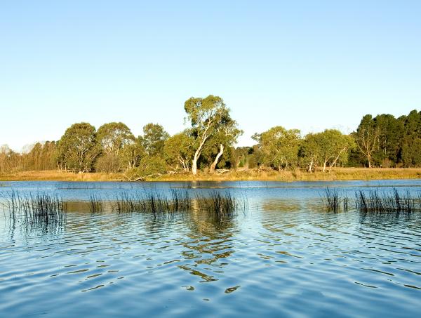 What's That In The Water? | Wingecarribee Shire Council