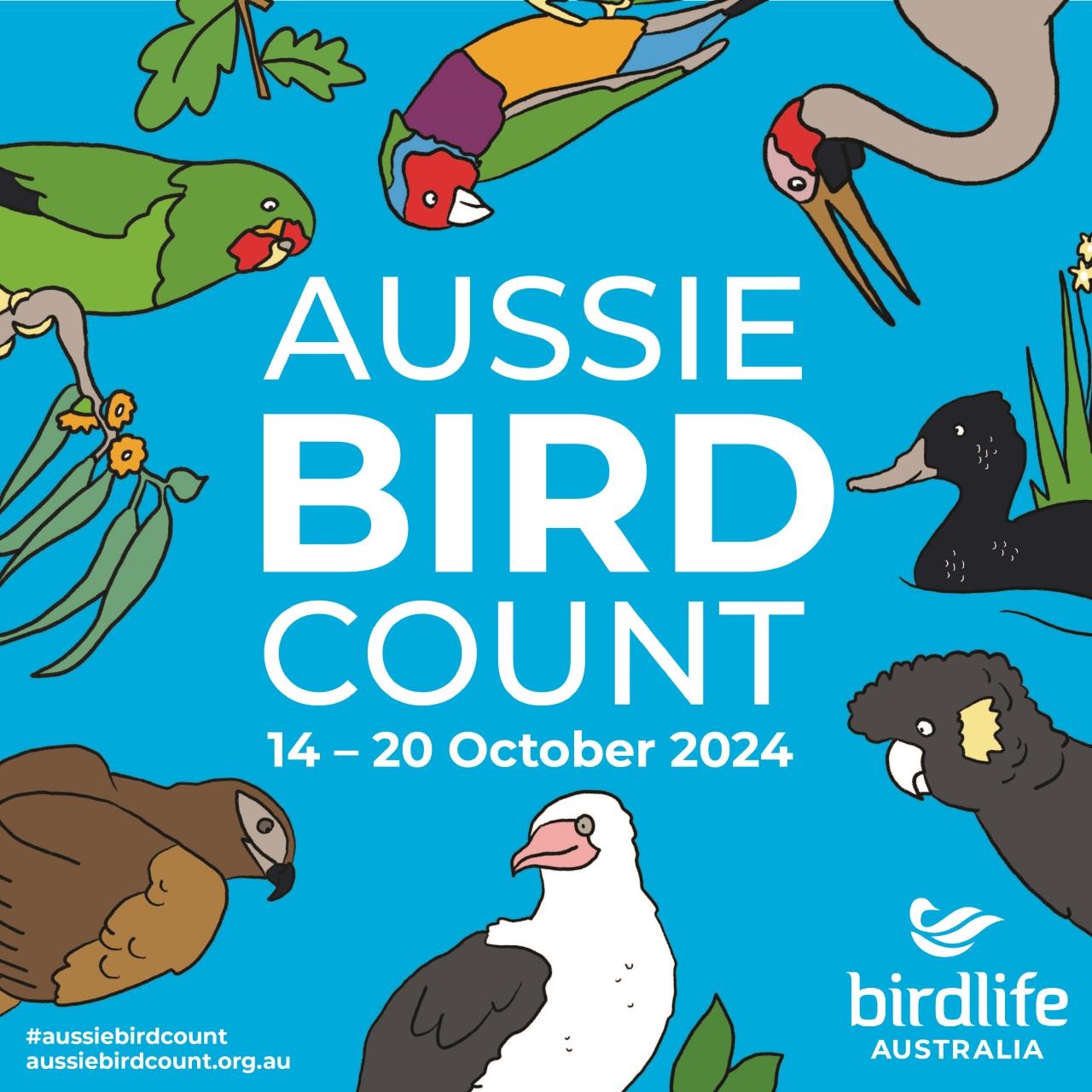 Aussie Bird Count 2024 event promotion social media tile