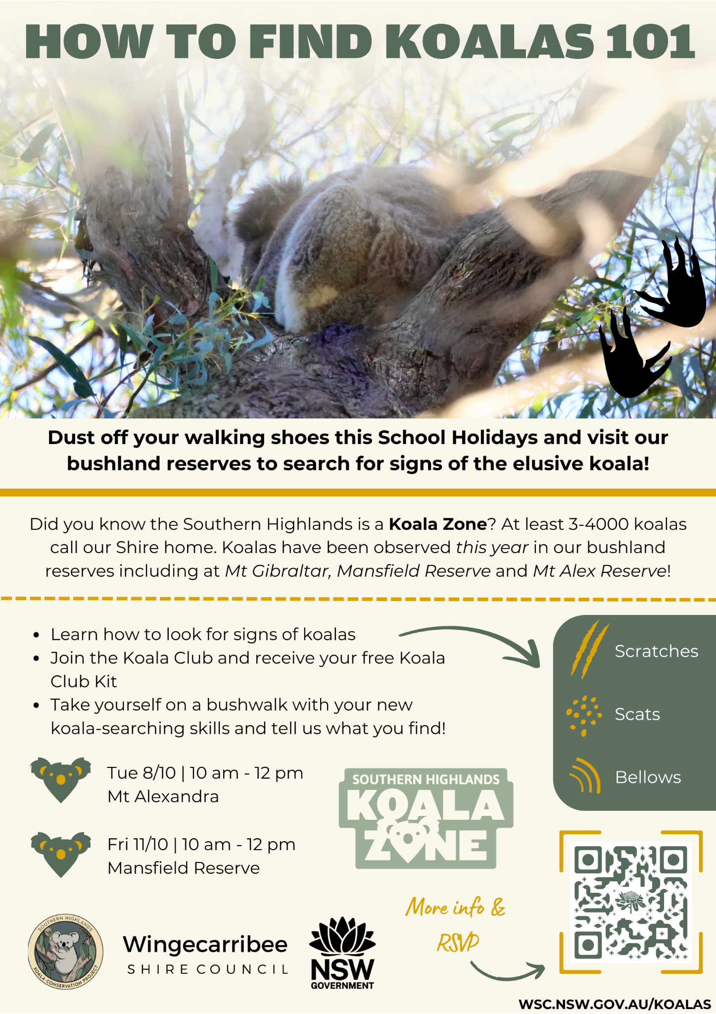 How-to-find-koalas-101 flyer image of flyer