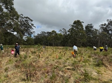 Planting Day