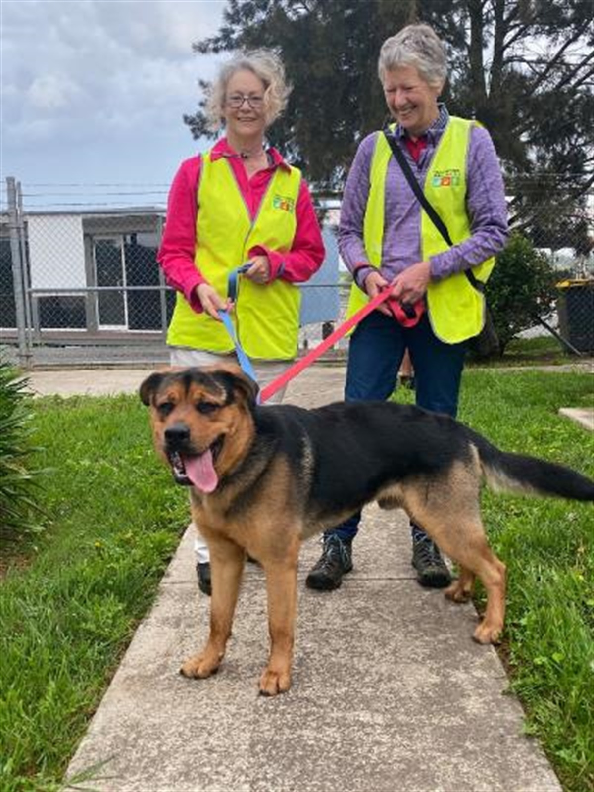 Wingecarribee Animal Shelter | Wingecarribee Shire Council