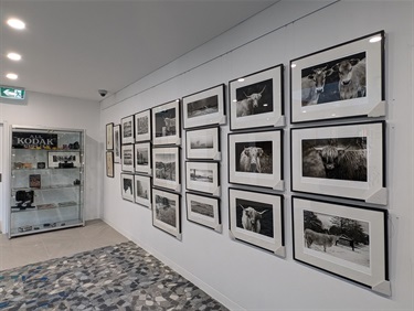 The Portfilio Show Photography Exhibition by Tony Sheffield