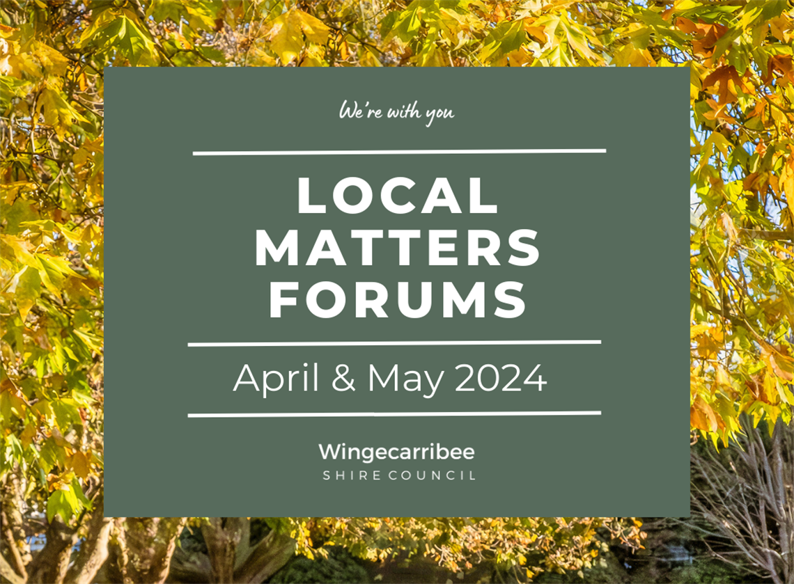 Image for Local Matters Forum with Autumn leaves in the background