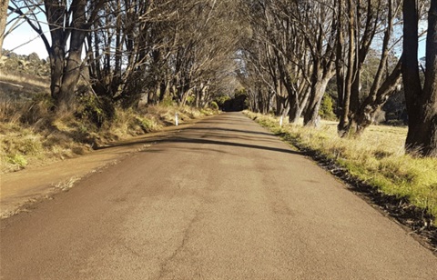 Image of rural road in the Wingecarribee Shire