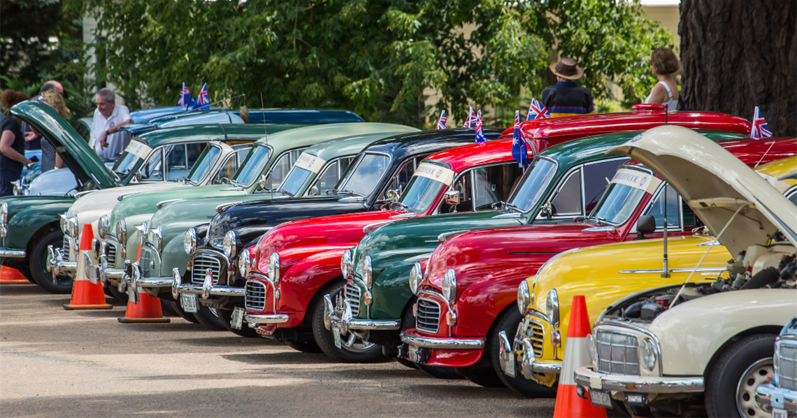 Close up of classic cars lined up under trees in berrima