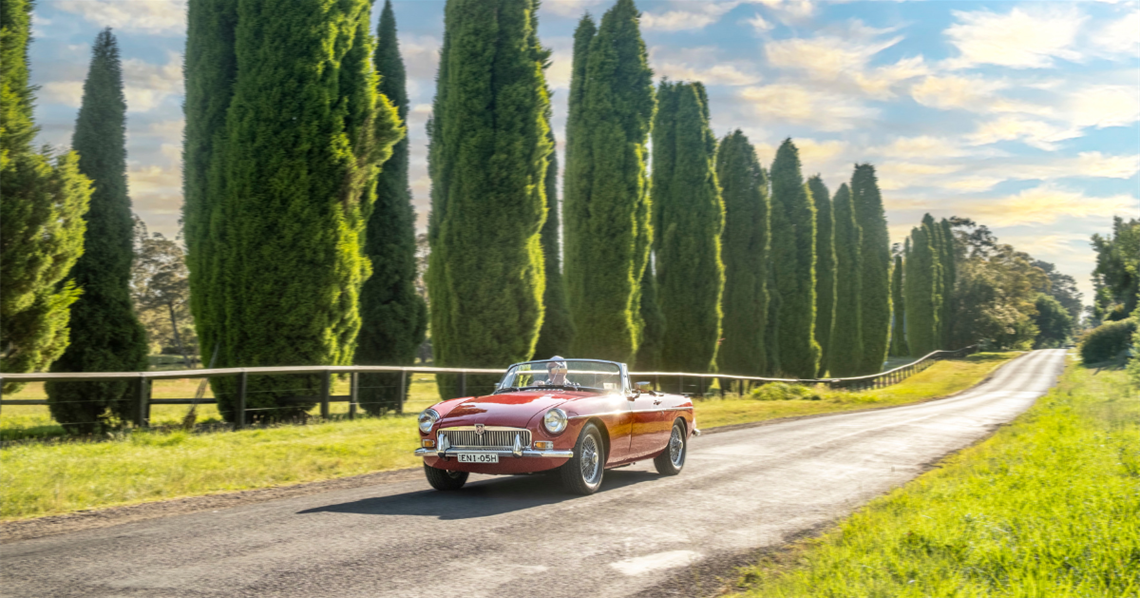 Red sports car driving on tree lined stretch of road in the Southern Highlandss