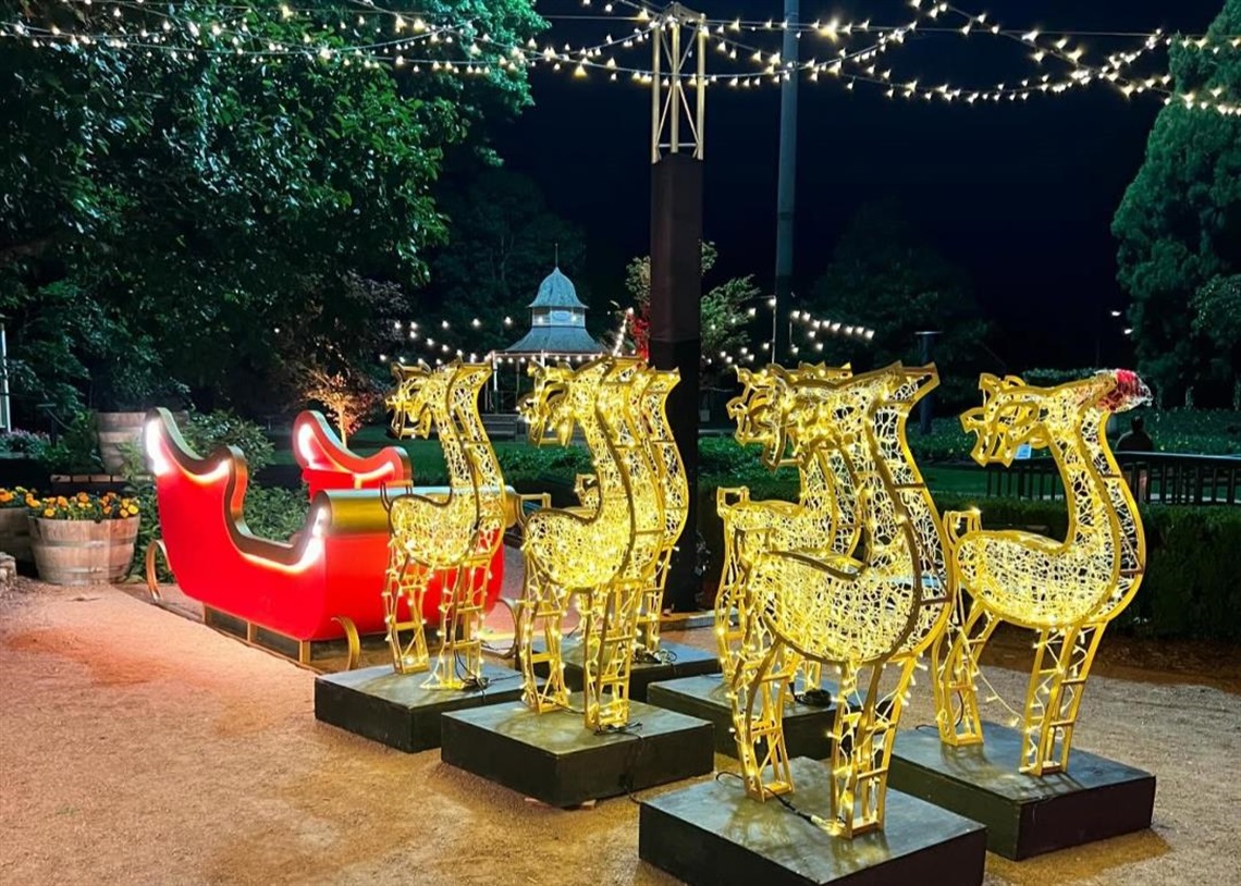 Night time light display of Santa Sleigh and reindeers in Corbett Gardens