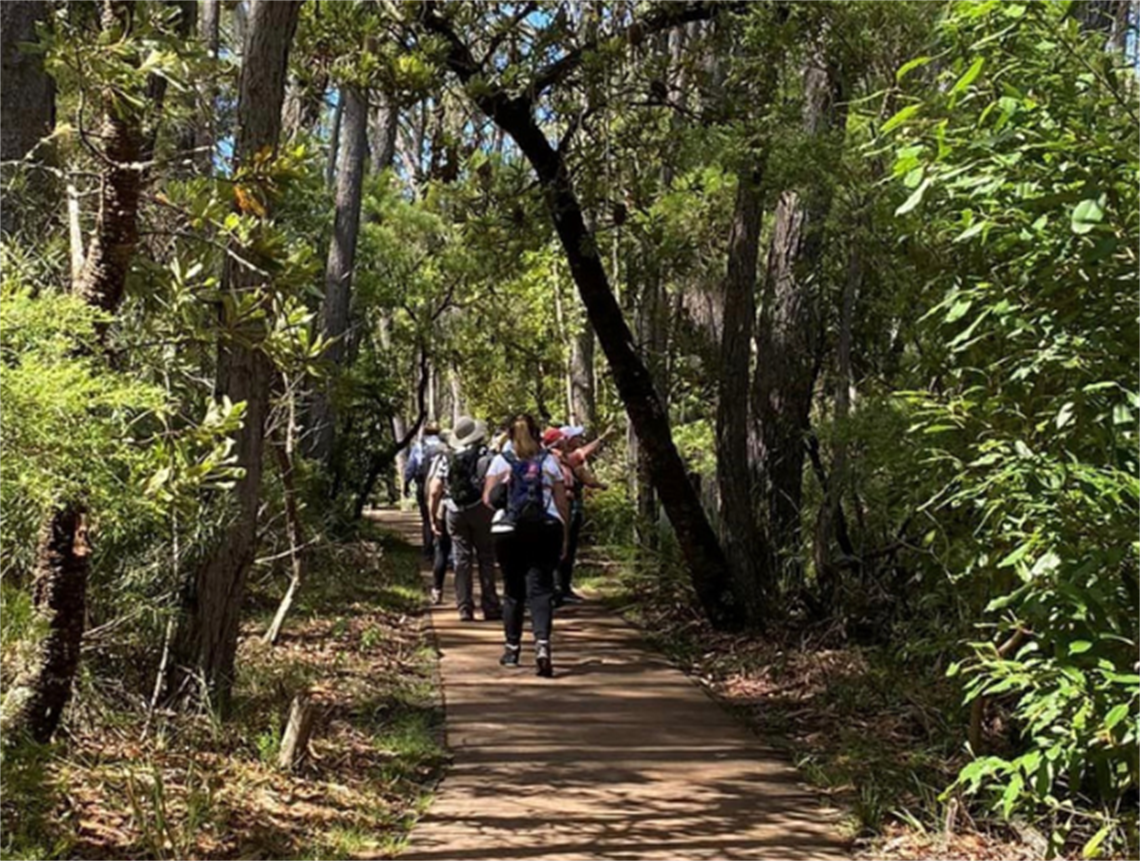 Women walking along a track in the bush