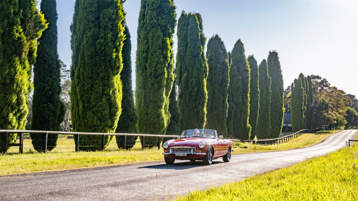 Red car driving in countryside