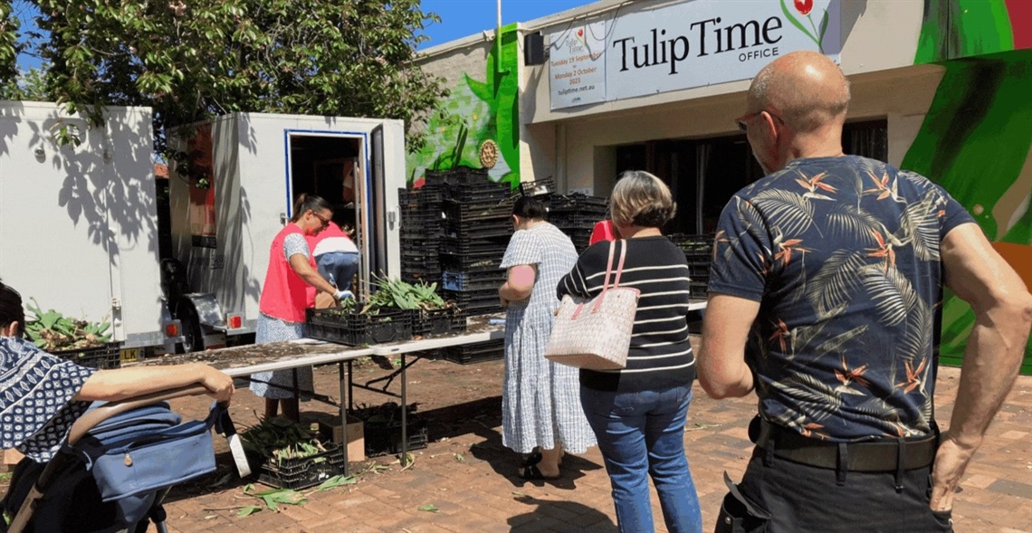 Tulip-Time-2023-bulb-give-away