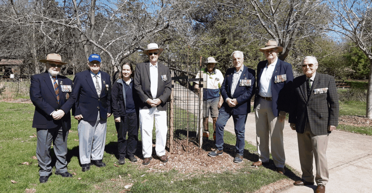 Cherry Tree walk