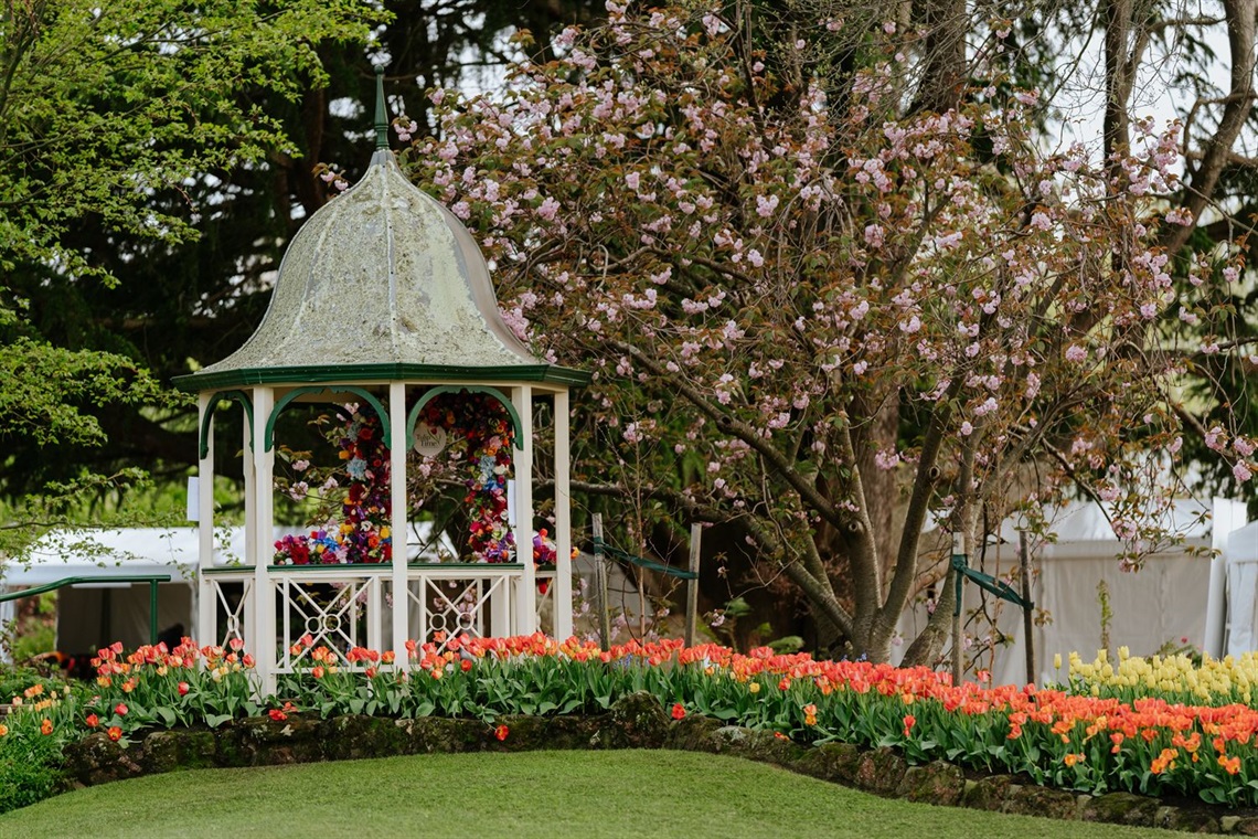 Image of Corbett Gardens from Tulip Time 2023 image taken by Bodhi Todd