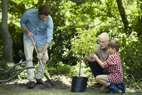 Tree Planting Private Land iStock-492275575.jpg