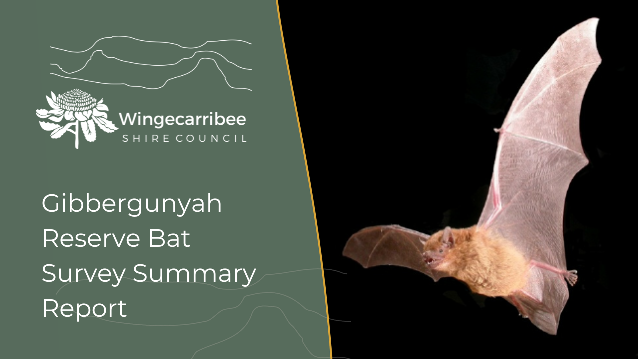 Gibbergunyah Reserve Bat Survey Summary Report cover image for report