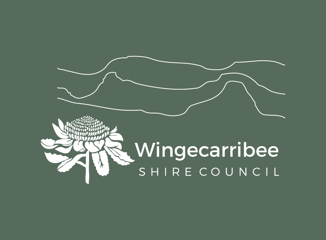 DA Tracker Launch Update | Wingecarribee Shire Council