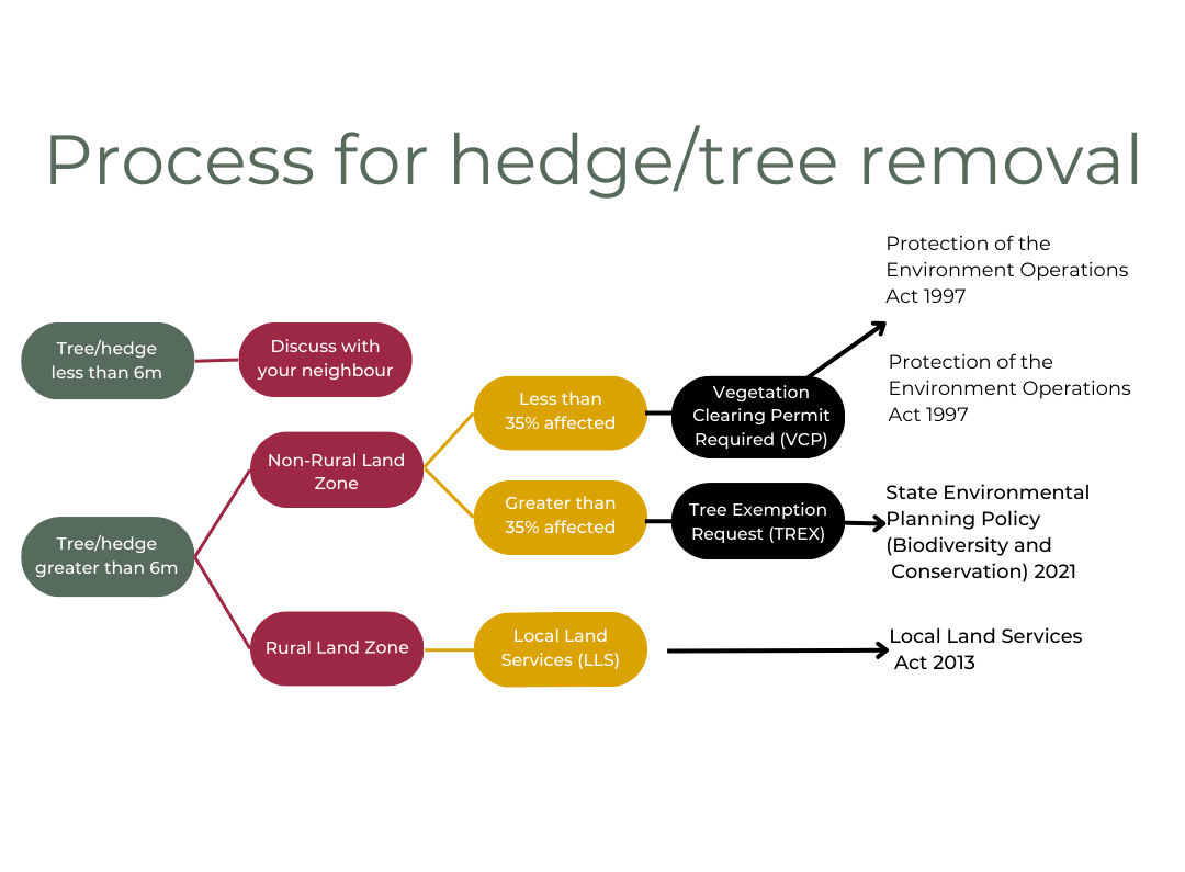 diagram for the process for the removal of a tree or hedge in the WIngecarribee Shire