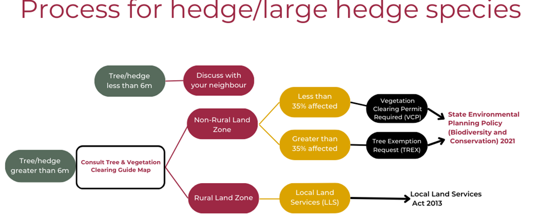 Diagram for the process for the removal of a tree or hedge in the WIngecarribee Shire