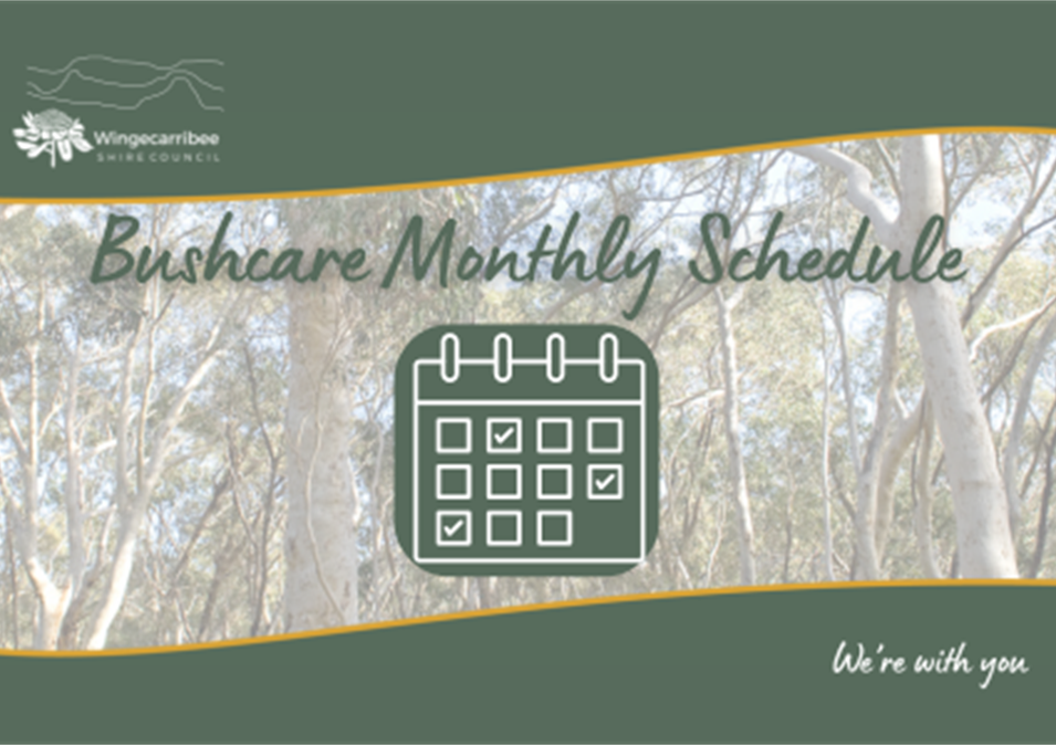 Wingecarribee Bushcare Schedule June 2024